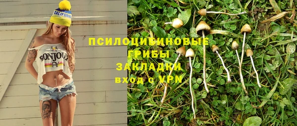 стаф Елабуга