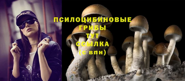 MDMA Ельня