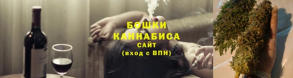 стаф Елабуга